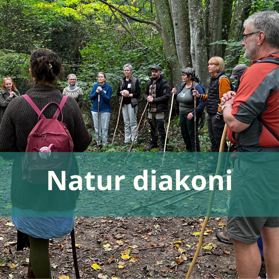 Link til side om naturdiakoni