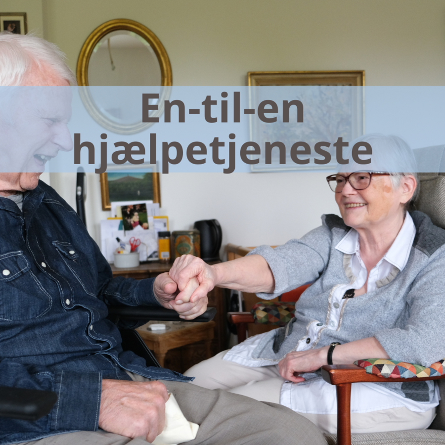 Link til side om besøgstjeneste og andre en-til-en relationer i det diakonale arbejde