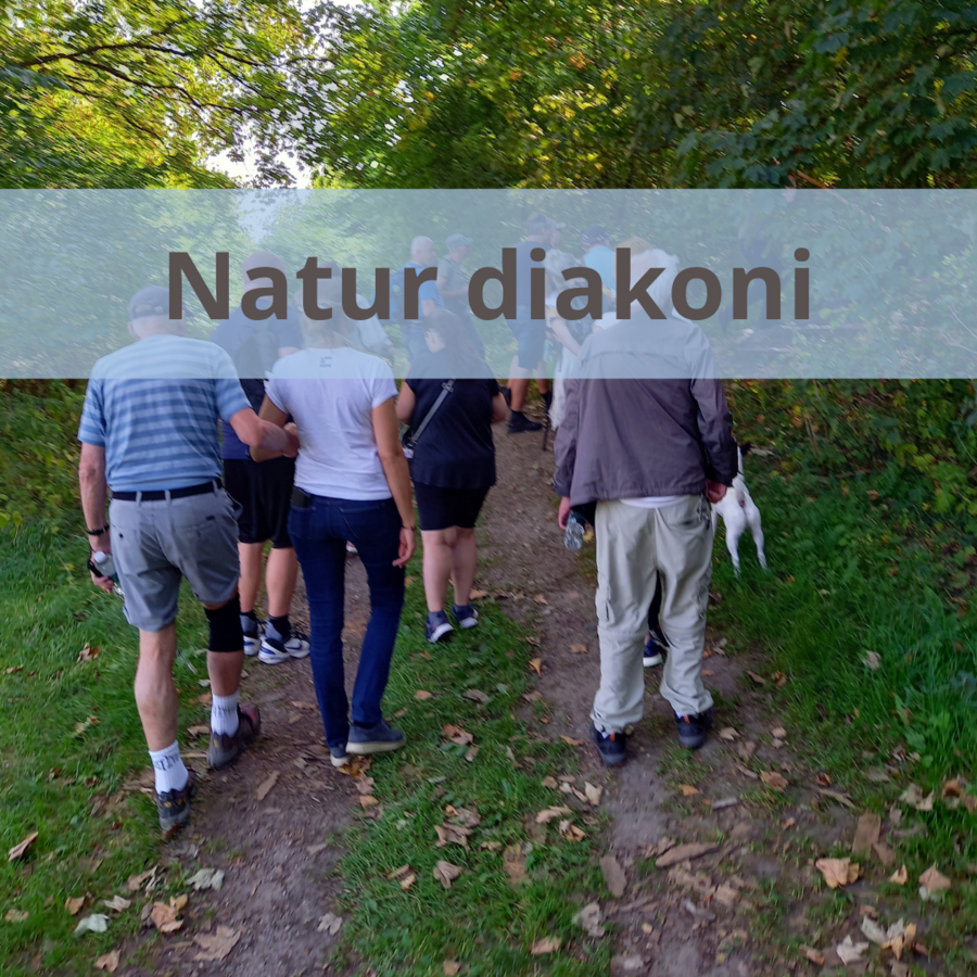Link til side om naturdiakoni