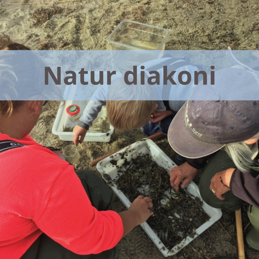 Link til side om naturdiakoni
