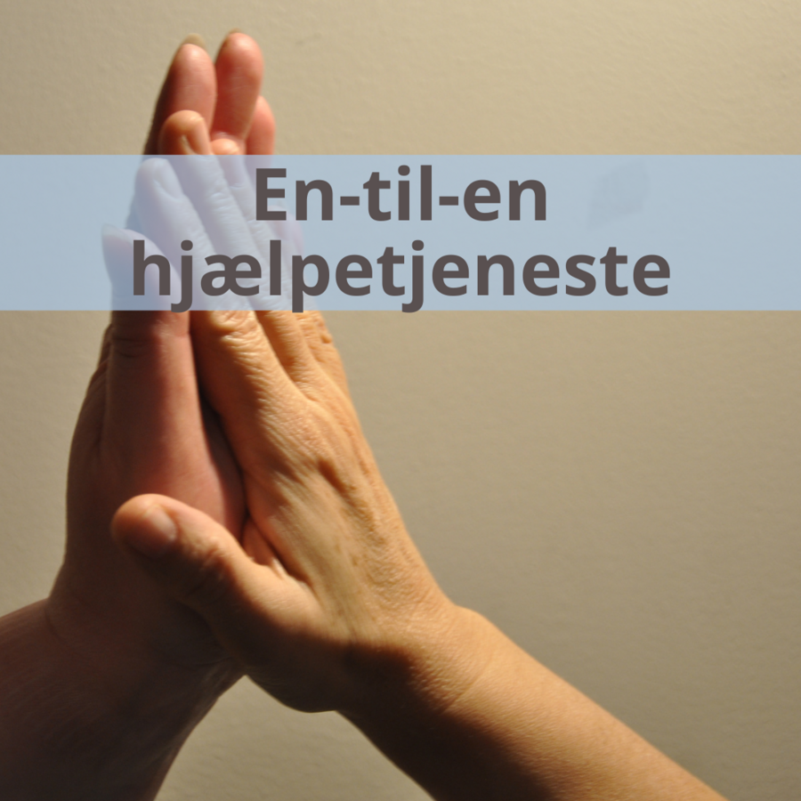 Link til side om en-til-en hjælpetjenste i diakonien