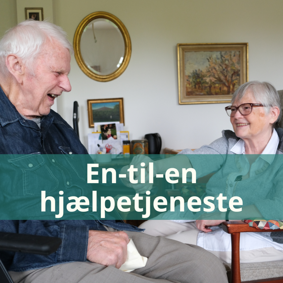 Link til side om besøgstjeneste og andre en-til-en relationer i det diakonale arbejde
