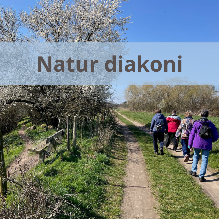 Link til side om naturdiakoni