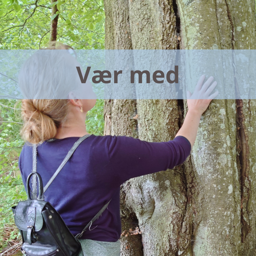 Link til side om de af vores projekter I kan deltage i